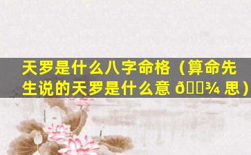 天罗是什么八字命格（算命先生说的天罗是什么意 🌾 思）